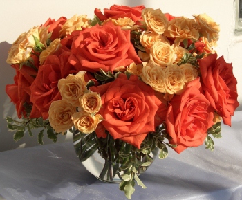 Christina Andersen Floral Design  201.401.9349